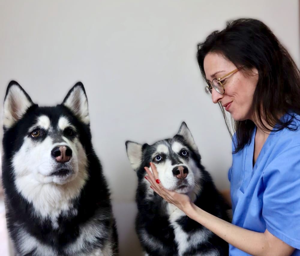 Magalí Martin - Nutritionniste animale et ATV avec chiens